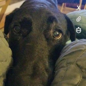 Meet your Posher, Robyn